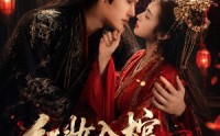 【红妆入棺青丝乱】50集短剧免费高清观看