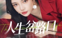 【人生岔路口】30集短剧在线观看，精彩剧情不容错过