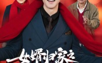 【女婿归家之蛇年行大运】65集短剧，全集高清在线播放