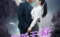 【傅总的天降太子妃】86集短剧全集在线，畅享视听盛宴