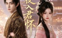 【春夜入君怀】65集短剧免费全集畅快观看