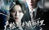 【产检醒来，我肚子里的孩子消失了】63集短剧免费全集观享