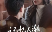 【记忆人潮再无你】80集短剧完整版在线观看不卡顿