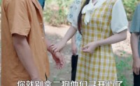 【重回九零发家致富宠娇妻】114集短剧高清免费在线观看全集