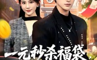 【一元秒杀福袋，巨奖拿来吧你】81集全网短剧免费在线看