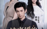【被离婚的幕后玩家】61集短剧免费随时追看