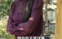 【幸福里的电梯风波】70集短剧完整版免费观看