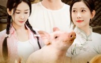 【开局一头猪我在荒年养全家】65集短剧荒年养家在线观看