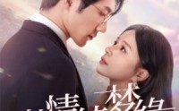 【沉沦】69集短剧免费观看全集不卡顿