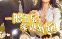 【一胎五宝爹地别跑】101集短剧全集在线观看极速体验