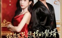 【报告苏总，您找的赞婿是龙神殿主】72集短剧免费在线随心观