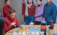 【家和万事兴之蛇年阖家欢】66集短剧在线观看无广告打扰