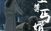 【至尊丐婿】91集高清短剧在线观看免费下载