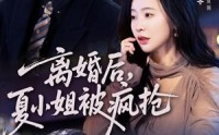 【离婚后，夏小姐被疯抢】98集在线短剧全集畅看
