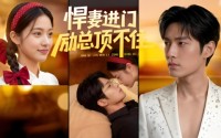 【悍妻进门励总顶不住1080P】55集超清短剧免费览看