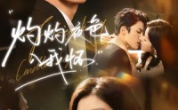 【灼灼夜色入我怀】60集短剧高清全集在线赏