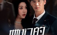 【她们的名字】29集短剧全集在线，随时随地想看就看