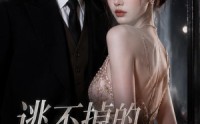 【逃不掉的沈先生】41集短剧全集在线速看