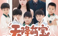 【天降萌宝爹地快接招】50集免费短剧完整版在线播放