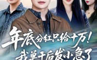 【年底分红只给10万！我单干后发小急了】47集短剧全集在线畅看