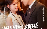 【姐是傲娇太阳花，谁见都要笑哈哈】73集短剧免费全集在线赏