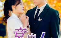 【意中人】32集精彩短剧在线高清免费看