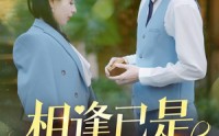 【相逢已是上上签】30集短剧在线播放，随时随地看大戏