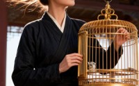 【飞燕不入旧金笼】41集短剧免费全集赏看