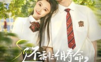【还剩三个月寿命，请让我从容赴死】71集短剧在线观看，精彩剧情不容错过