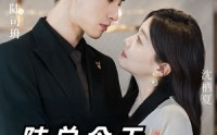 【陆总今天吃醋了吗】50集短剧高清资源在线抢先看