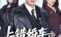 【上错婚车，错娶绝色千金】80集短剧全集在线速看
