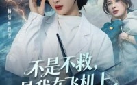 【不是不救，是我在飞机上实在没辙啊】60集免费短剧在线高清播放