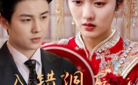 【入错洞房嫁对郎】63集短剧在线观看，精彩剧情不间断