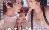 【瞎子夫君恋爱脑欺他骗他都不跑】62集短剧资源在线观看不收费