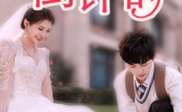 【婚后心动倒计时】33集短剧极速在线观看体验