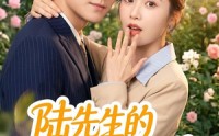 【陆先生的小福星不好惹】56集短剧在线免费观看全集