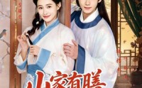 【山家有膳恰逢君】70集免费短剧随心观看