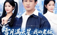 【雪月满天星：我的老板竟是前女友妹妹】65集短剧免费高清在线看