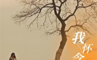 【我怀念的你】38集短剧免费在线观看，精彩不容错过