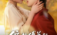 【偏执傅总的专属救赎】81集优质短剧免费在线览