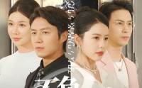 【不负故乡月】70集短剧，全集高清在线观看平台
