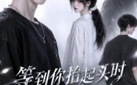 【等到你抬起头时转身回眸（第二季）】73集短剧免费高清观看