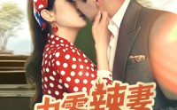 【九零辣妻很旺夫】70集短剧免费在线观看无广告