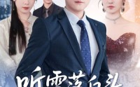 【听雪落白头】63集免费短剧在线完整看