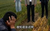 【麦田起飞时】62集精彩短剧全集在线赏