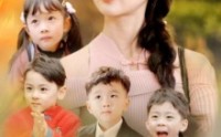 【我带四宝破历总十代单传】80集短剧在线观看，精彩剧情不容错过