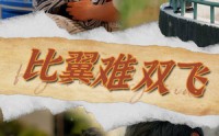 【比翼难双飞】30集短剧全集在线，尽享视觉盛宴