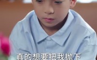 【我靠带崽赚翻天】82集在线短剧全集畅享观看