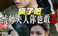 【疯了吧统帅夫人你也敢惹】33集短剧全集在线观看无删减