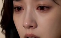 【枫华奔前程】40集短剧在线高清观看